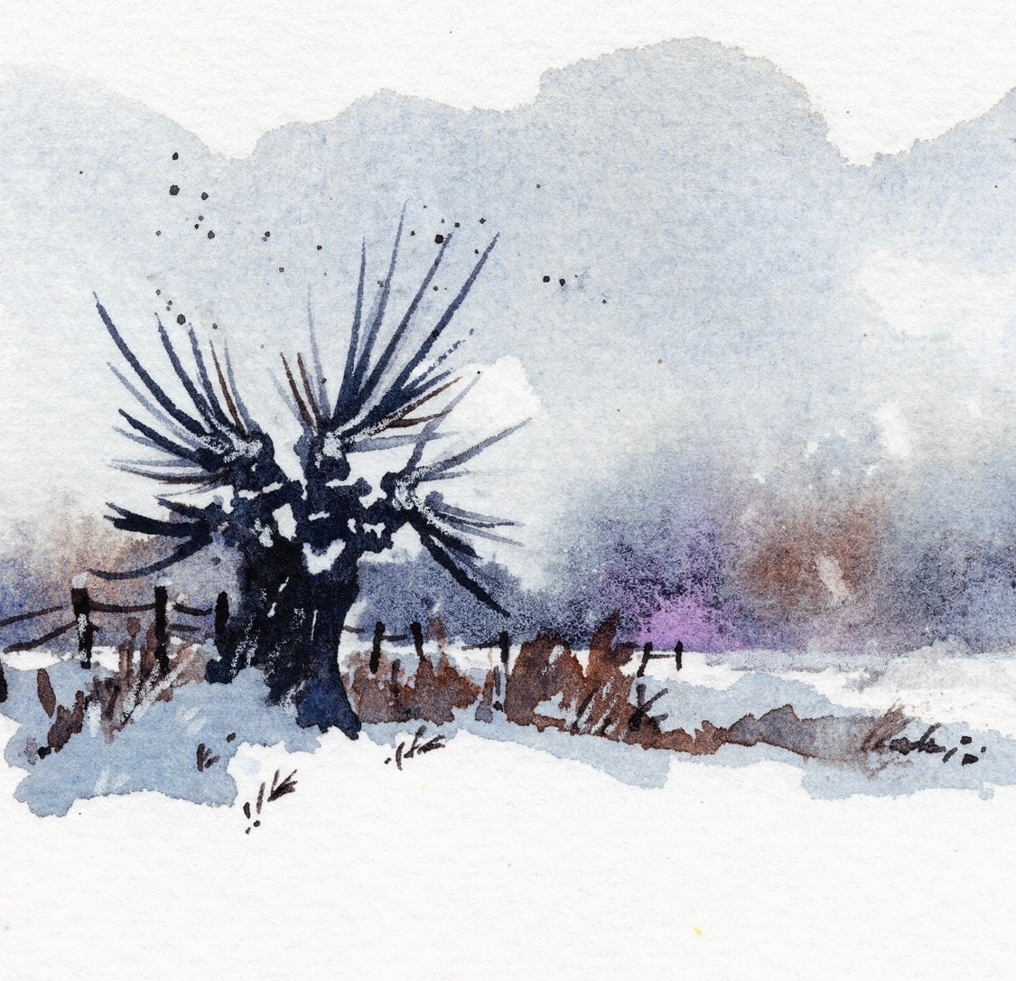 Winter Willow. - Original Artwork