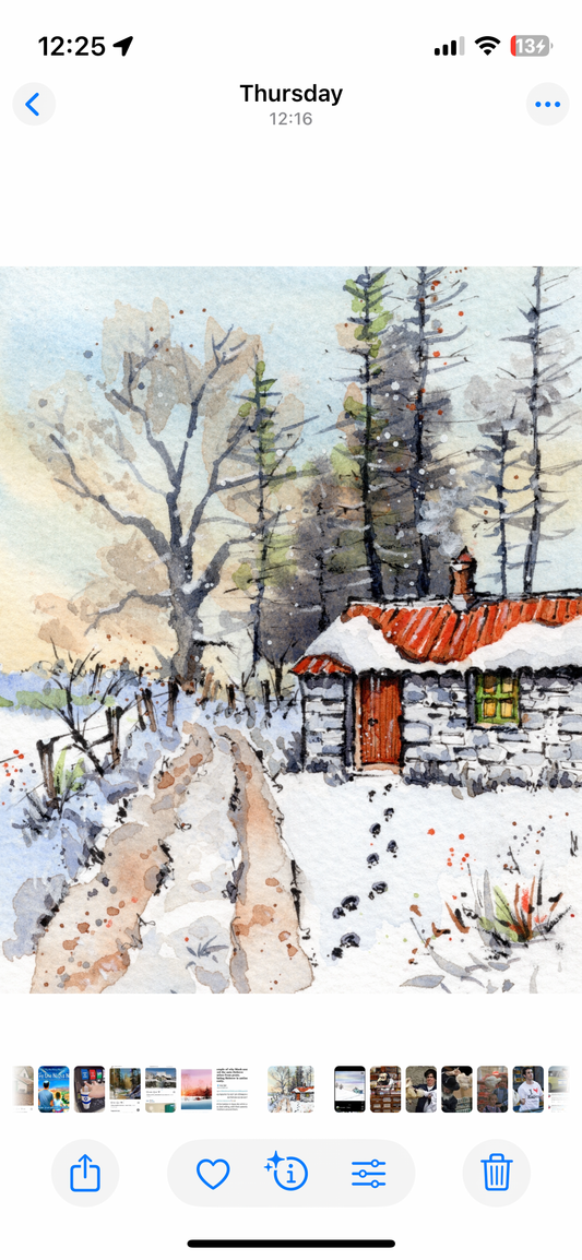 Welsh Corrugated Cottage - Mounted